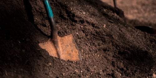 Soil Resource Identification Takes Centre Stage in New IQ Publication