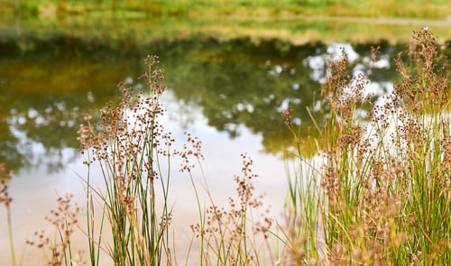 Working for a sustainable future