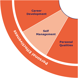 IQ-Skills-Wheel-Personal-Effectiveness.png IQ-Skills-Wheel-Personal-Effectiveness.png